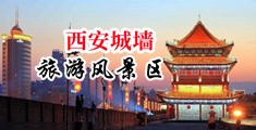 高清无码大黄网站视频中国陕西-西安城墙旅游风景区